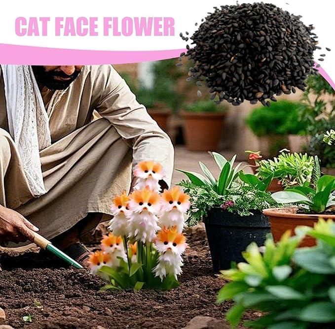 Cat Face Flowers and Free Organic Pot Mix 100 Grams